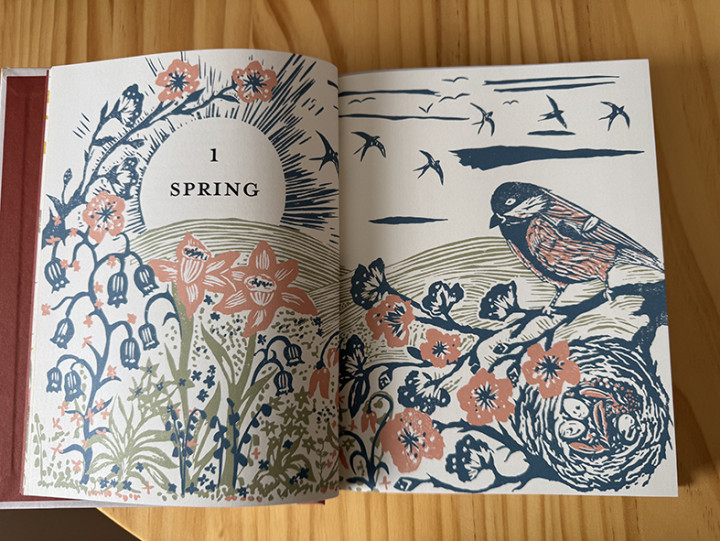 The Country Commonplace book, illustrations by Debbie Powell The